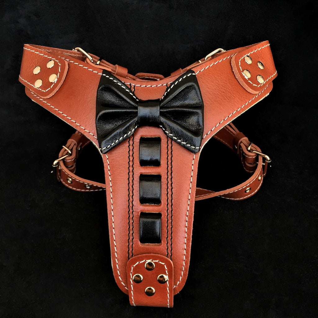👉 „Bestia Premium Ledergeschirr ‚Bowtie‘“