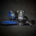 👉 „Bijou Set – Halsband, Geschirr & Leine in Blau“ 🐾