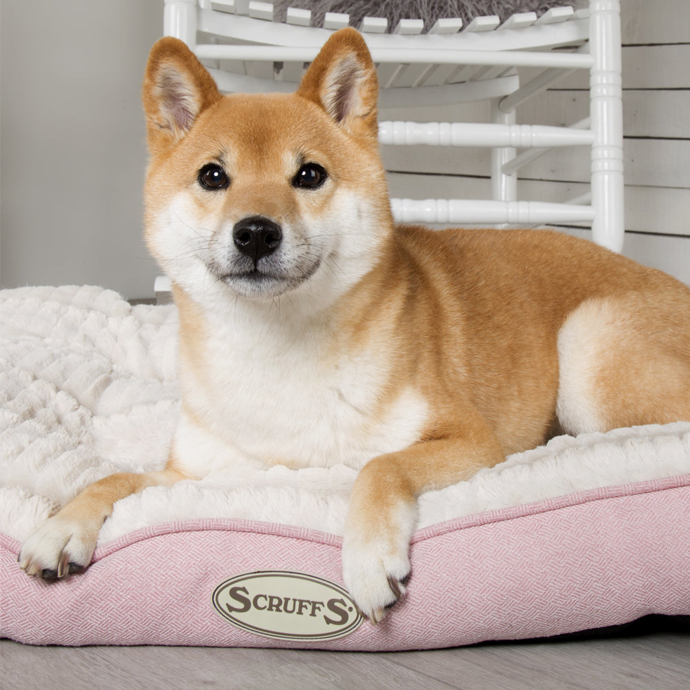 🐶 Ellen Hundematratze (in Beige, Pink oder Grau) – von Scruffs