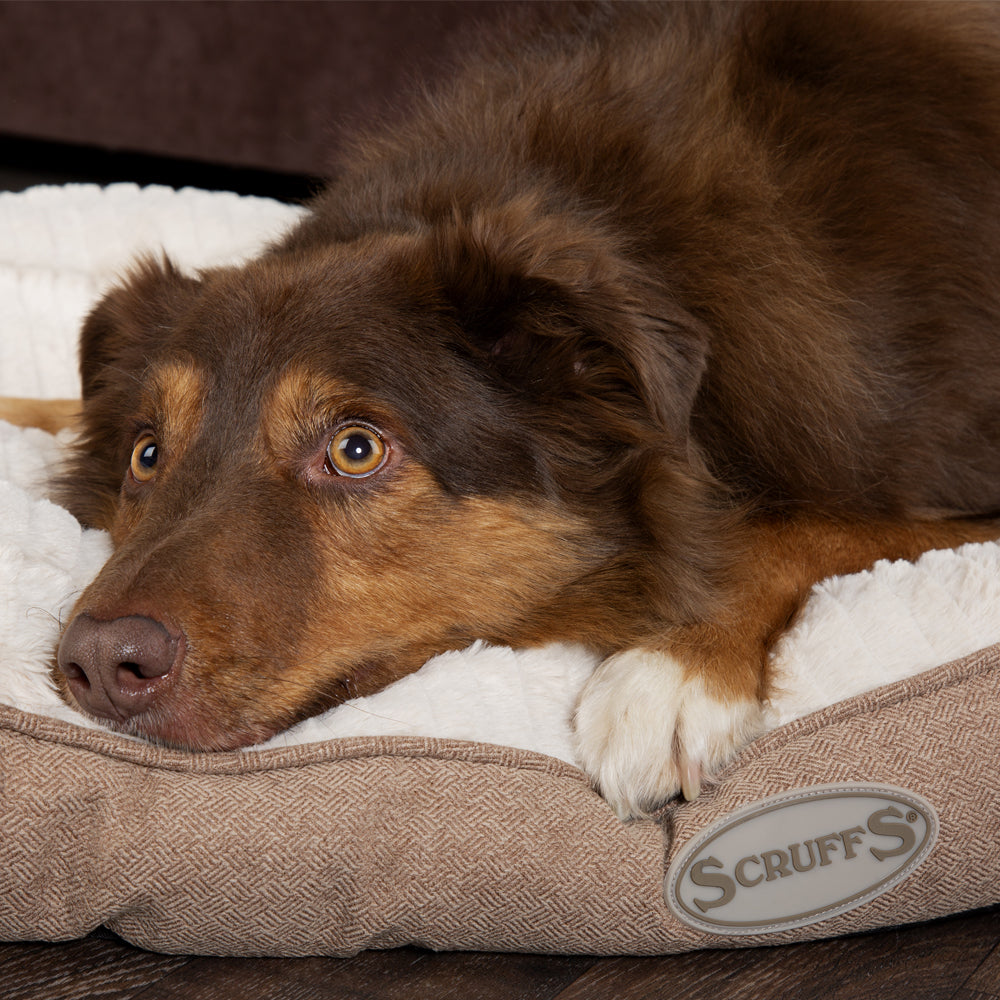 🐶 Ellen Hundematratze (in Beige, Pink oder Grau) – von Scruffs