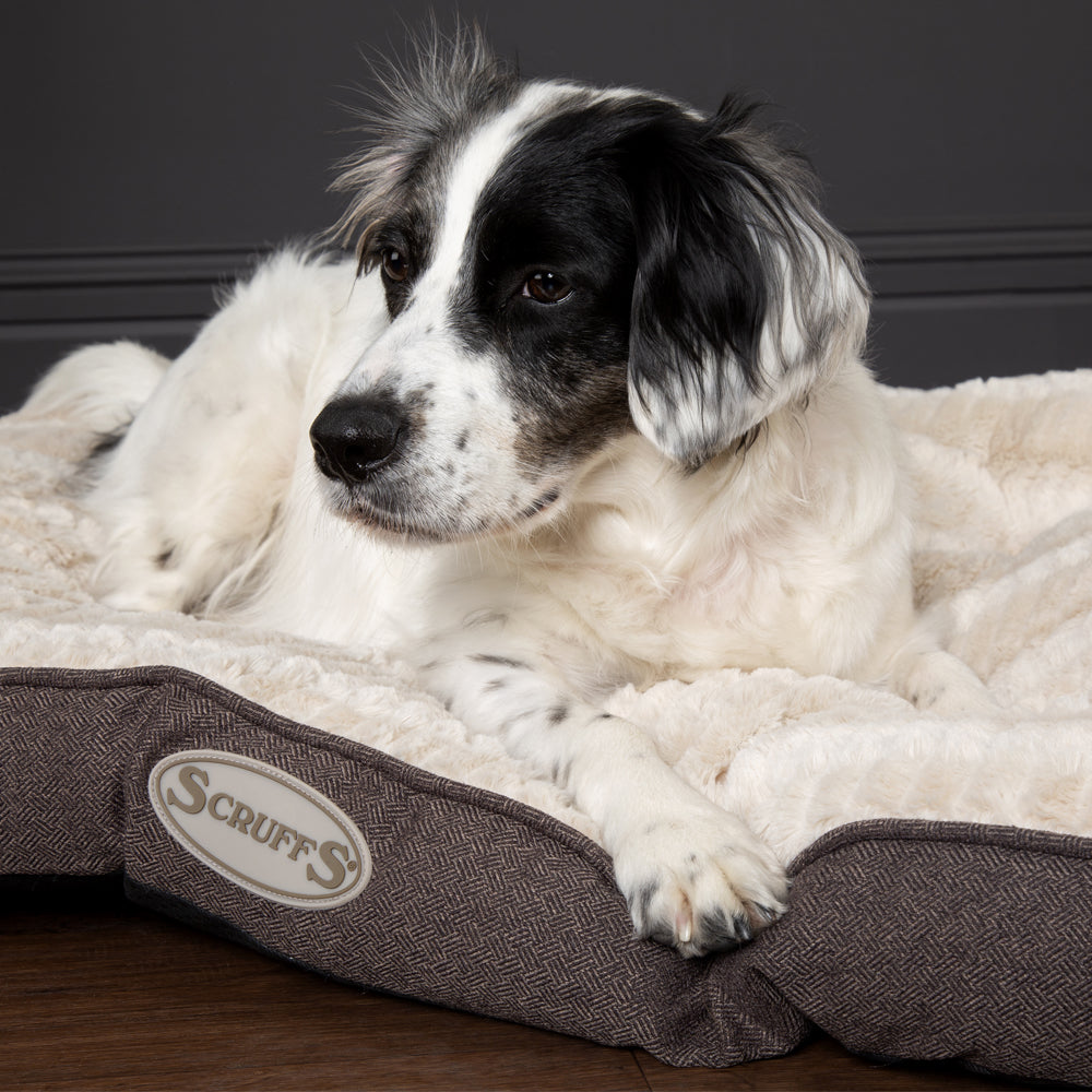 🐶 Ellen Hundematratze (in Beige, Pink oder Grau) – von Scruffs
