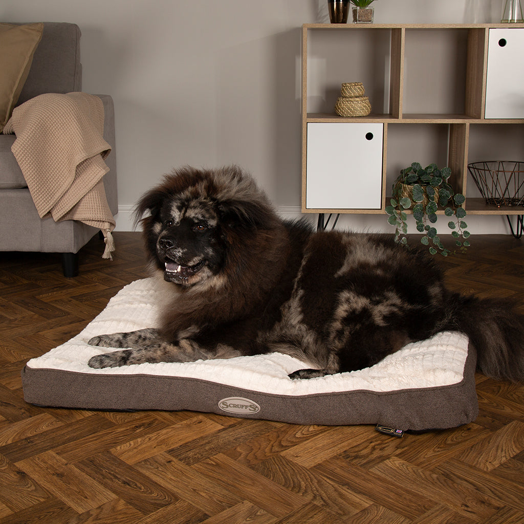 🐶 Ellen Hundematratze (in Beige, Pink oder Grau) – von Scruffs