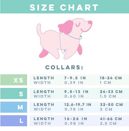 🐶 „Pawsome“ Hundehalsband