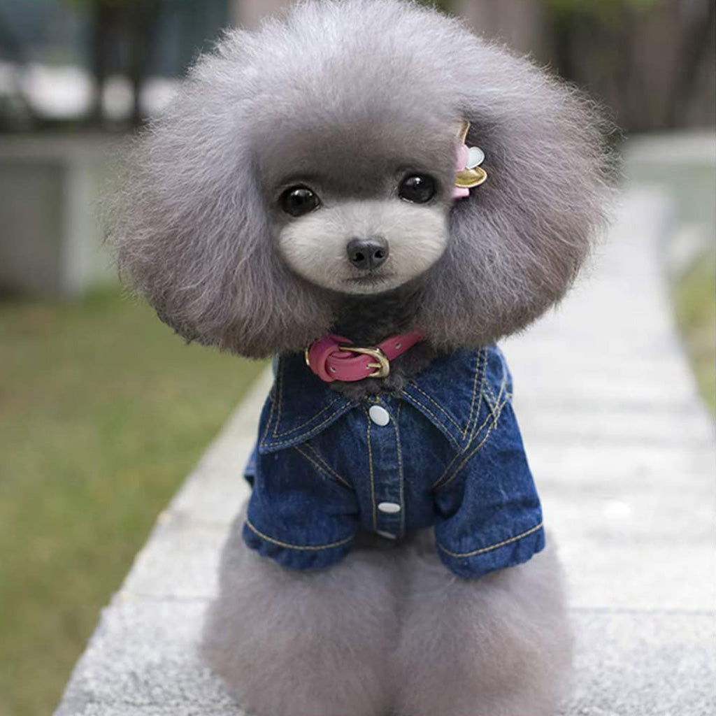 👉 Acid-Waschung Jeansjacke für Hunde von Doggy Doo Little