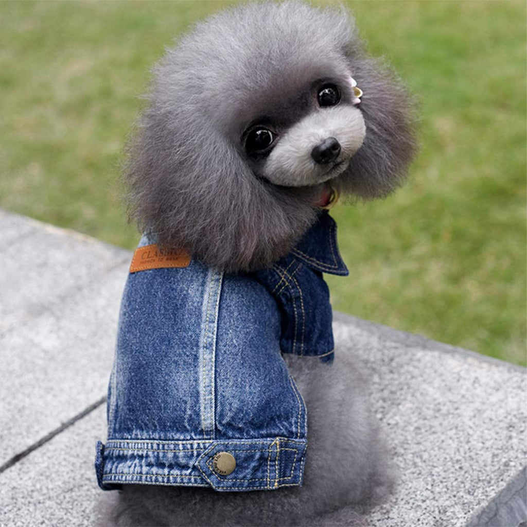 👉 Acid-Waschung Jeansjacke für Hunde von Doggy Doo Little