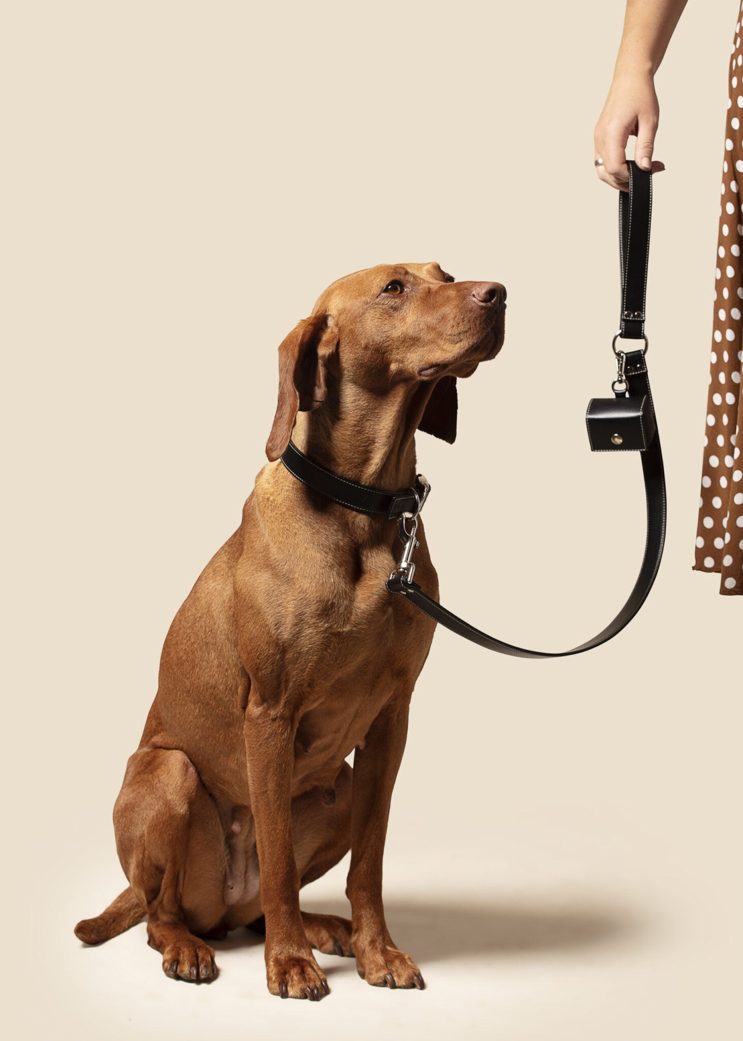 🐶 Oxford „Blush“ Hundegeschirr & Kotbeutelhalter –