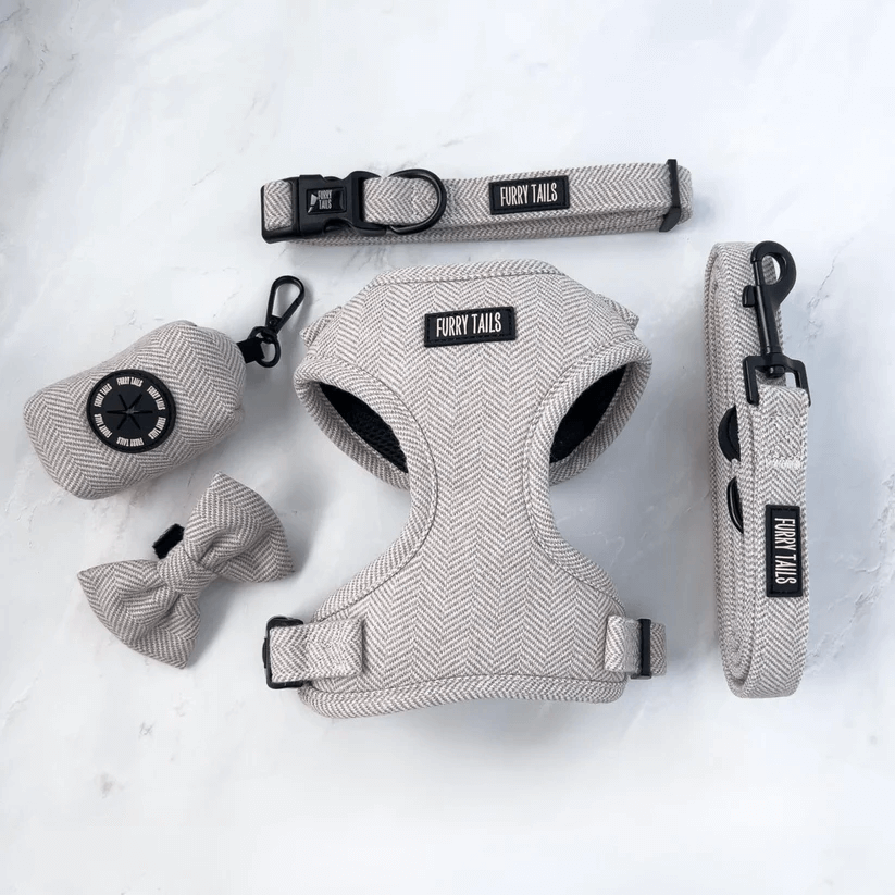 🐶 Hundegeschirr Set „Coco“ – Geschirr, Halsband, Leine, Kotbeutelhalter & Fliege – von Furry Tails
