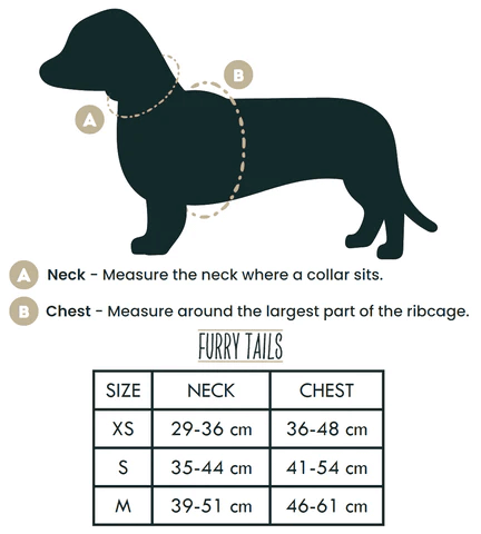 🐶 Hundegeschirr Set „Coco“ – Geschirr, Halsband, Leine, Kotbeutelhalter & Fliege – von Furry Tails