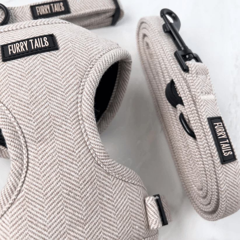 🐶 Hundegeschirr Set „Coco“ – Geschirr, Halsband, Leine, Kotbeutelhalter & Fliege – von Furry Tails