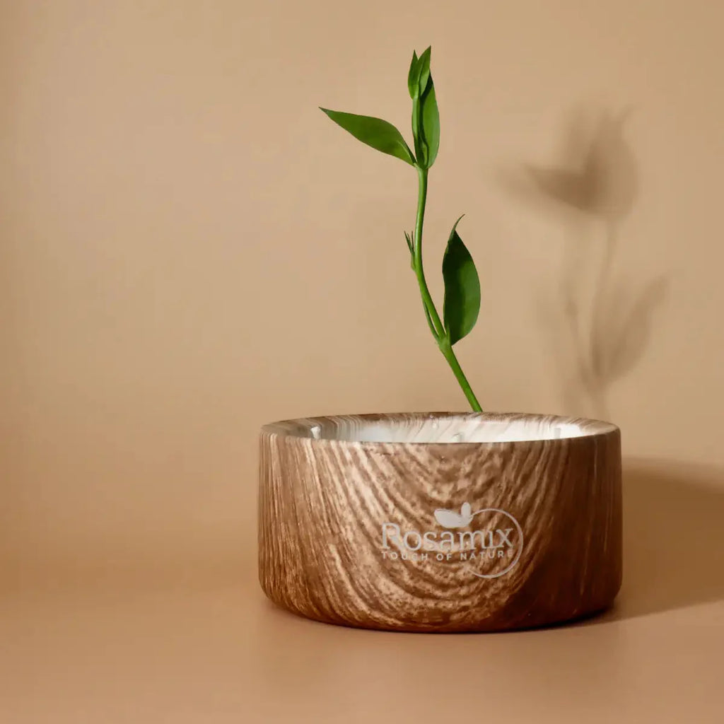 Erfrischende Sojawachskerze – Zitrone & Eukalyptus-1