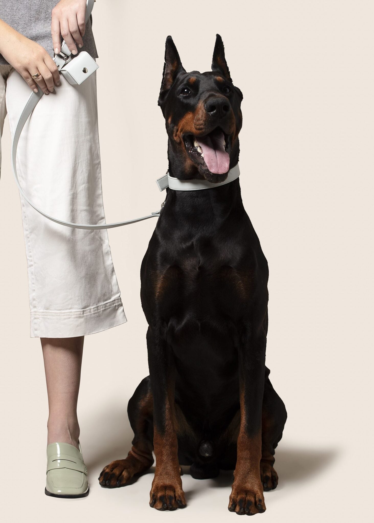🐶 Oxford „Blush“ Hundegeschirr & Kotbeutelhalter –