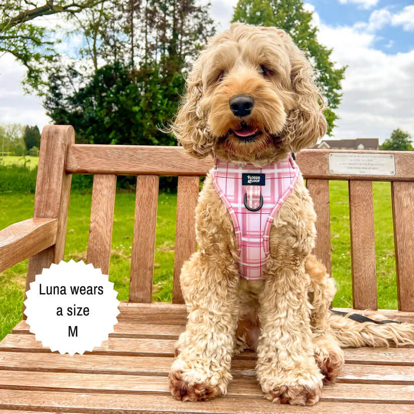 🐶 Oxford „Blush“ verstellbares Hundegeschirr – von Flossie & Floof
