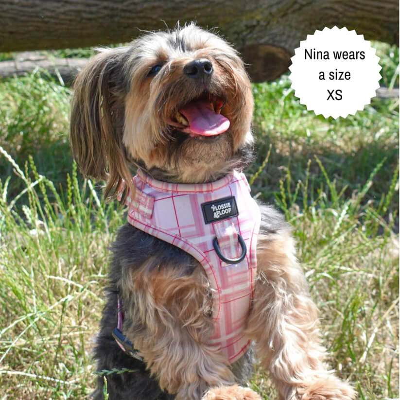 🐶 Oxford „Blush“ verstellbares Hundegeschirr – von Flossie & Floof