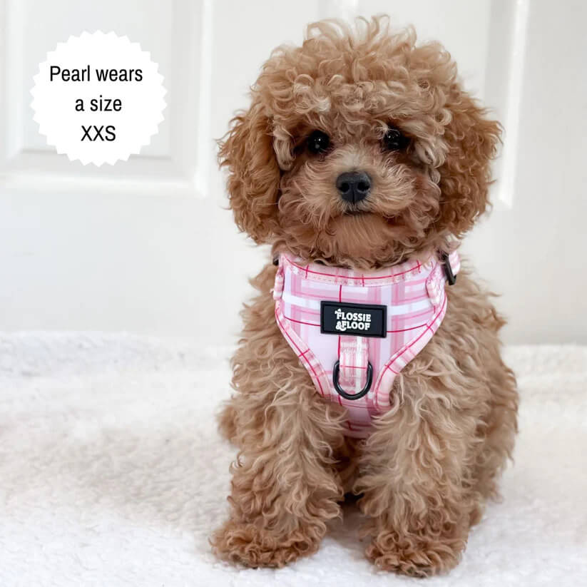 🐶 Oxford „Blush“ verstellbares Hundegeschirr – von Flossie & Floof
