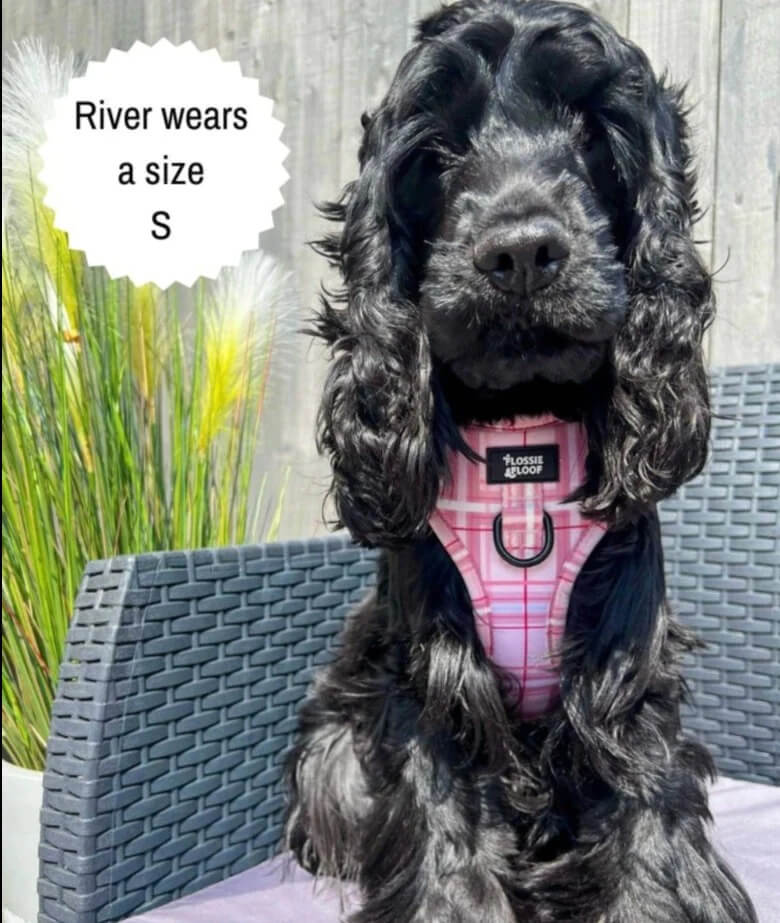 🐶 Oxford „Blush“ verstellbares Hundegeschirr – von Flossie & Floof