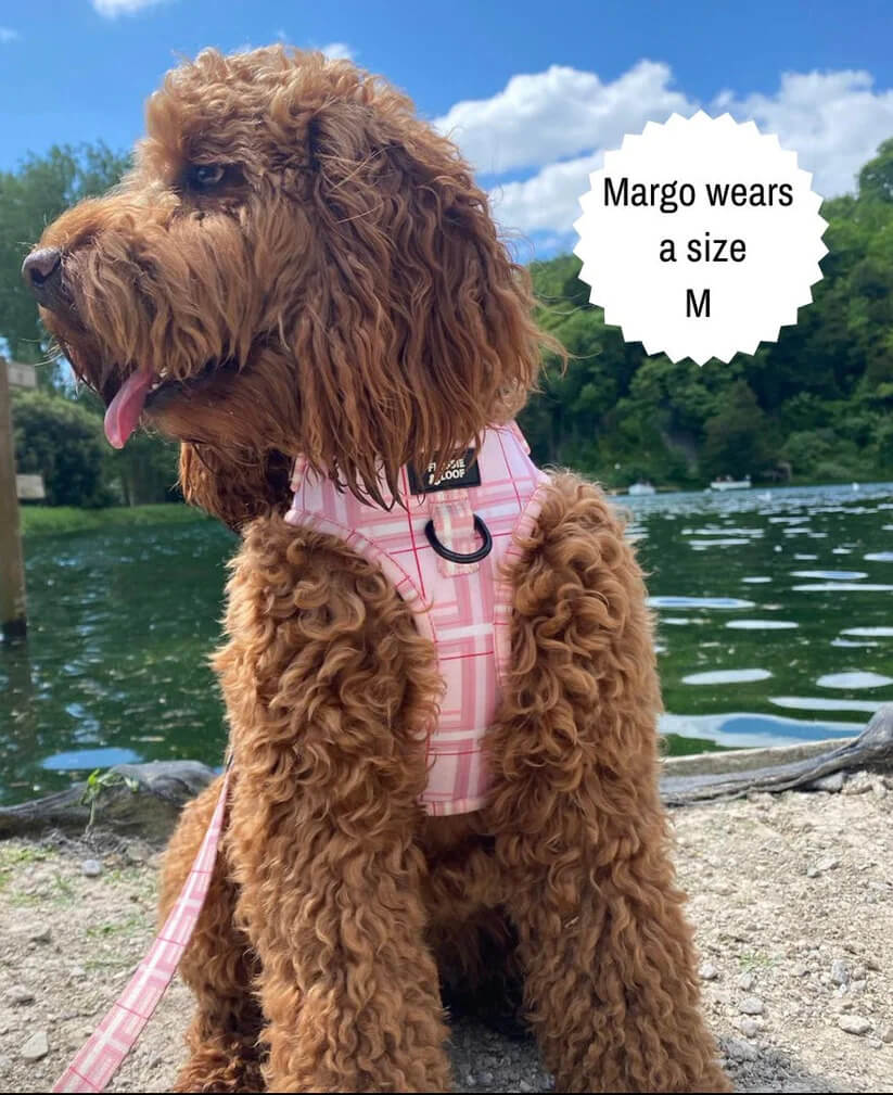 🐶 Oxford „Blush“ verstellbares Hundegeschirr – von Flossie & Floof
