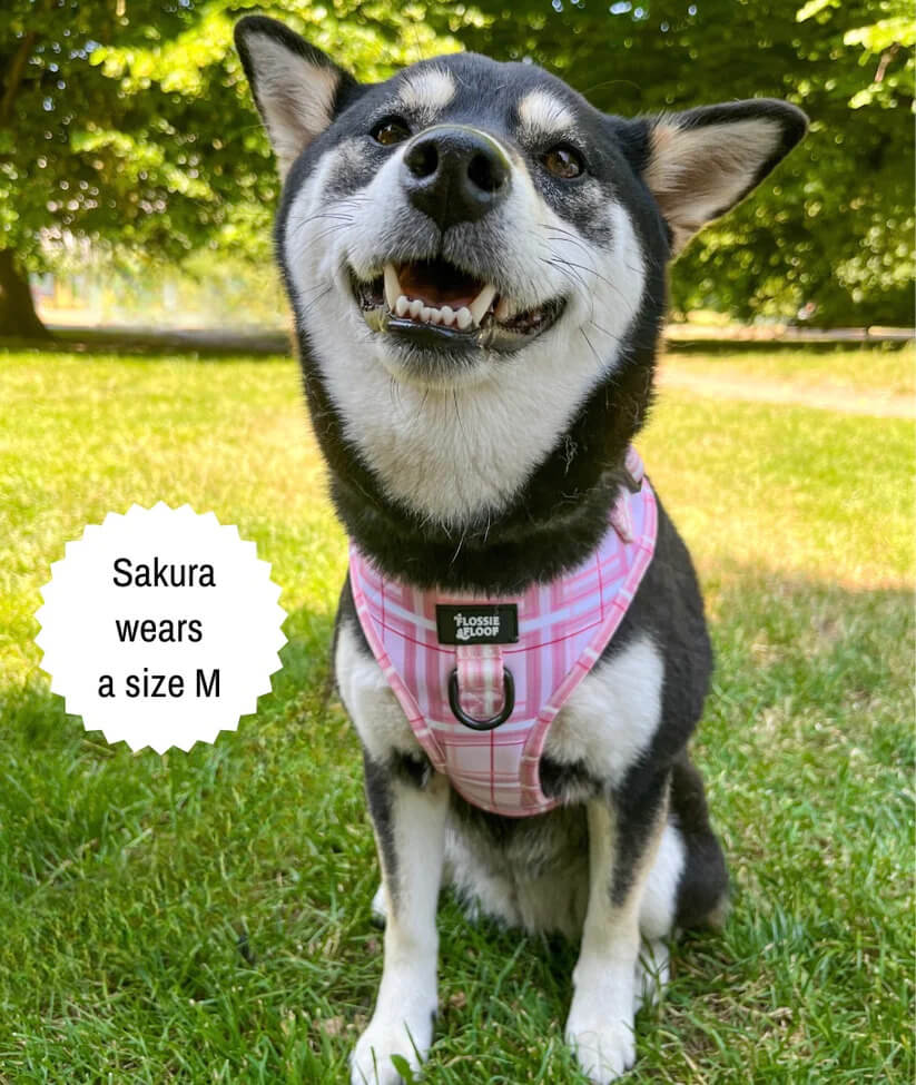 🐶 Oxford „Blush“ verstellbares Hundegeschirr – von Flossie & Floof