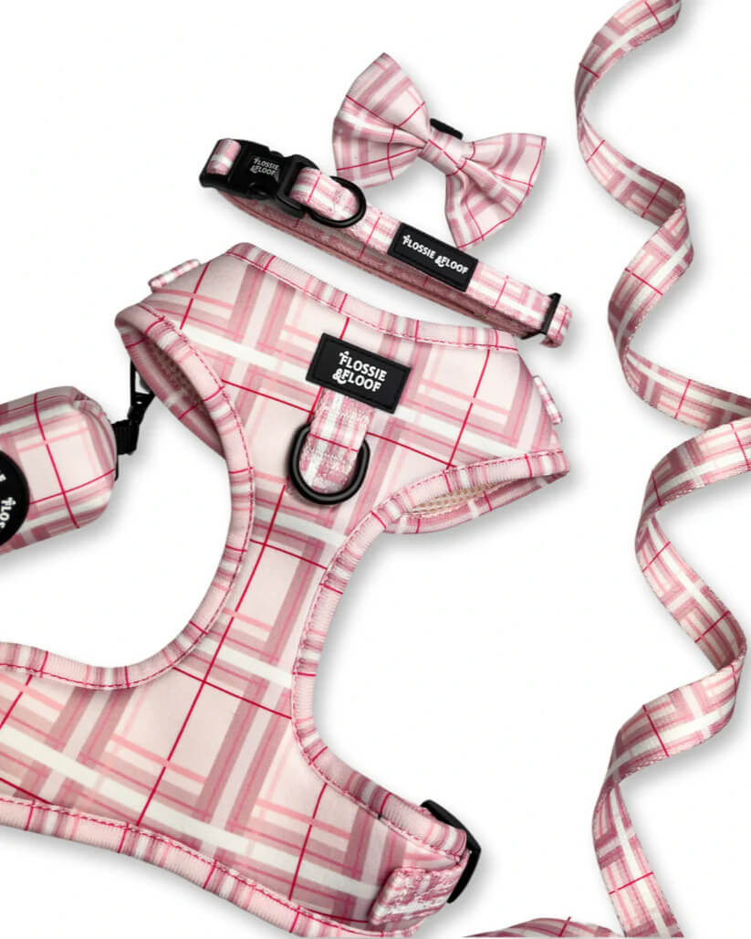 🐶 Oxford „Blush“ verstellbares Hundegeschirr – von Flossie & Floof