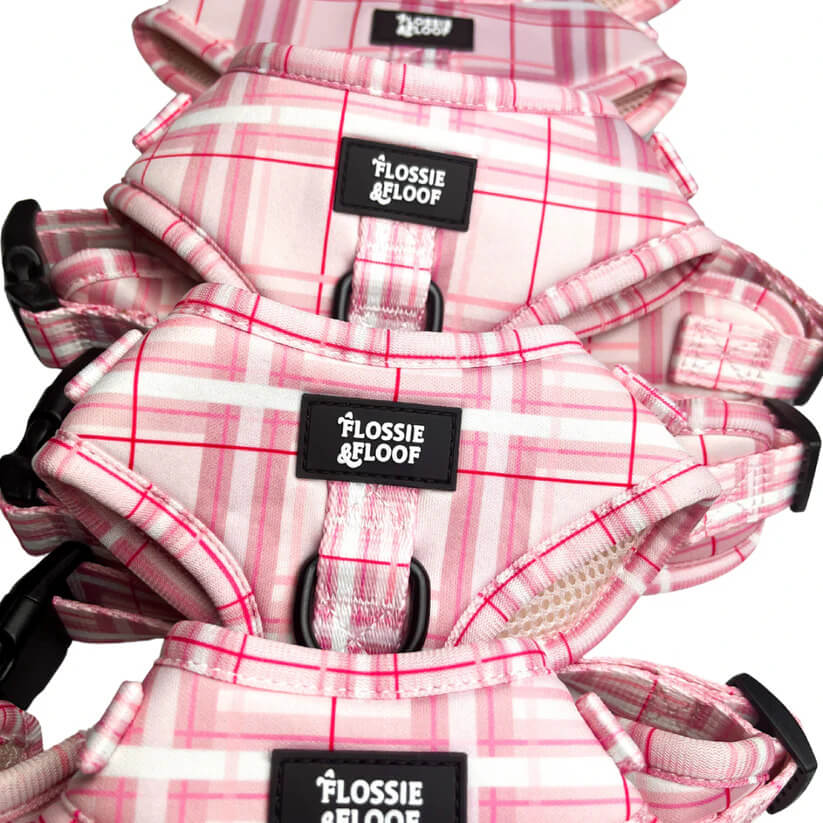 🐶 Oxford „Blush“ verstellbares Hundegeschirr – von Flossie & Floof