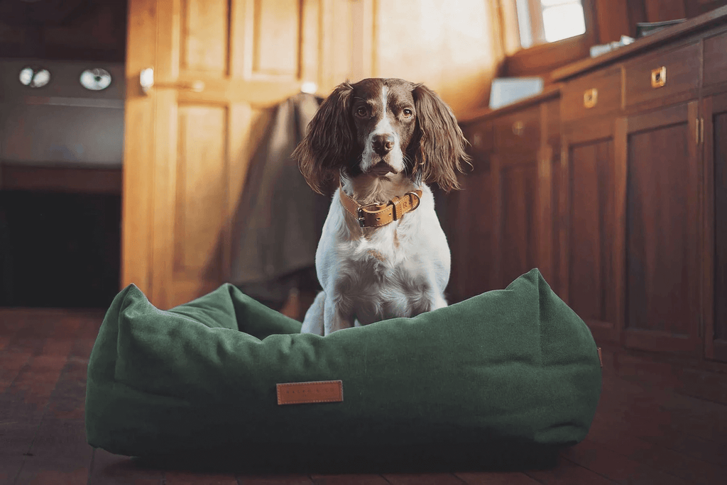 👉 „Ralph & Co ‚Richmond‘ Stonewash Hundebett im Nest-Design“ 🐶  oder etwas hochwertiger: