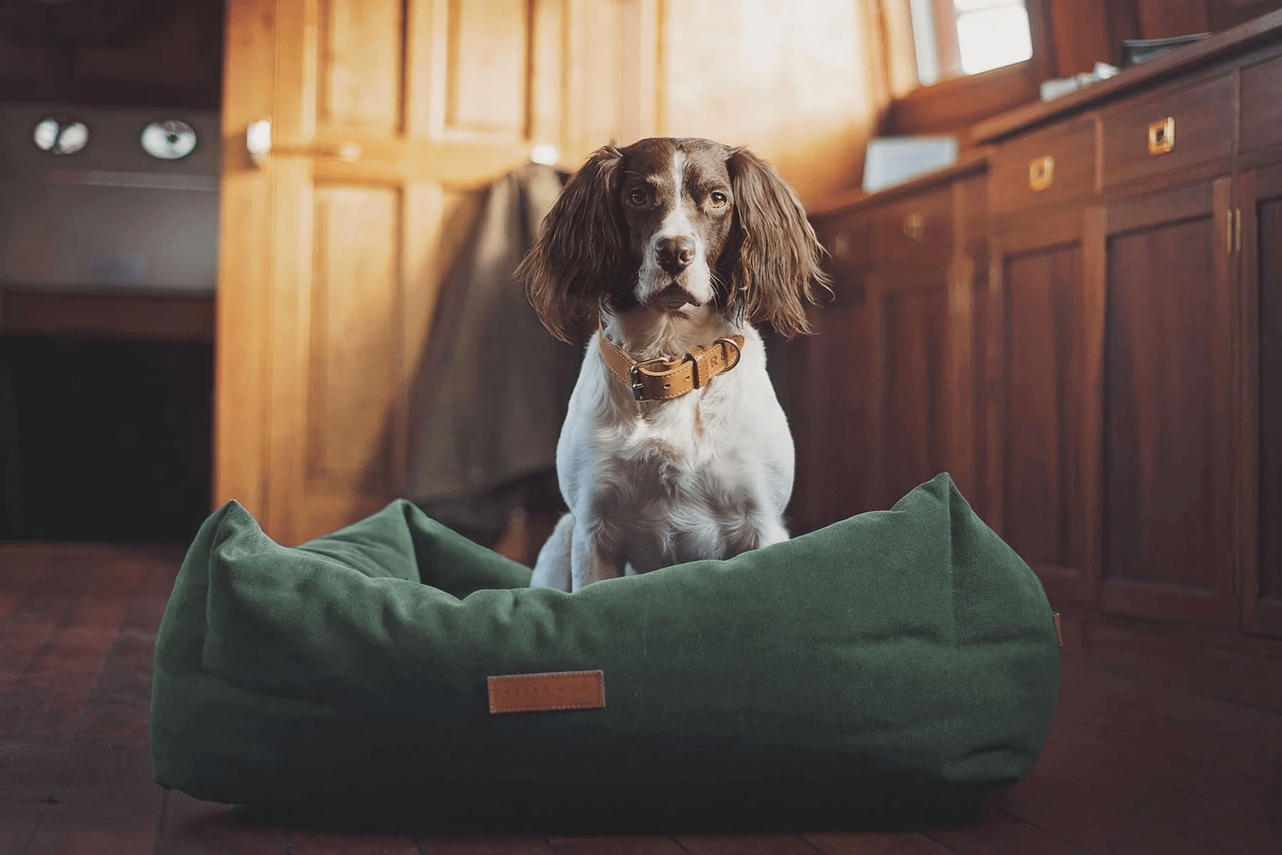 👉 „Ralph & Co ‚Richmond‘ Stonewash Hundebett im Nest-Design“ 🐶  oder etwas hochwertiger: