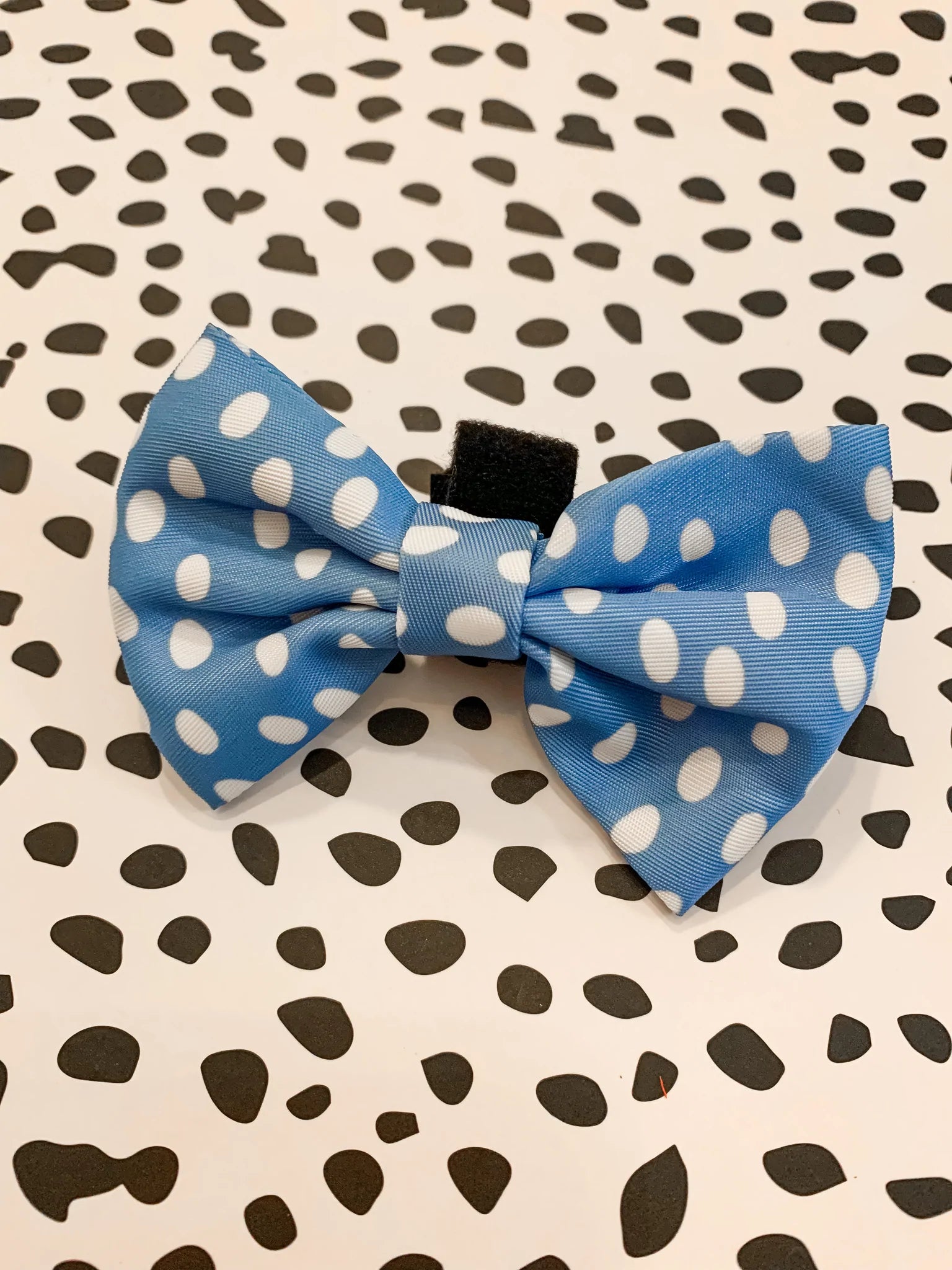 🐶 Polka Pups Set (Blau) – von iWoofYouBoutique