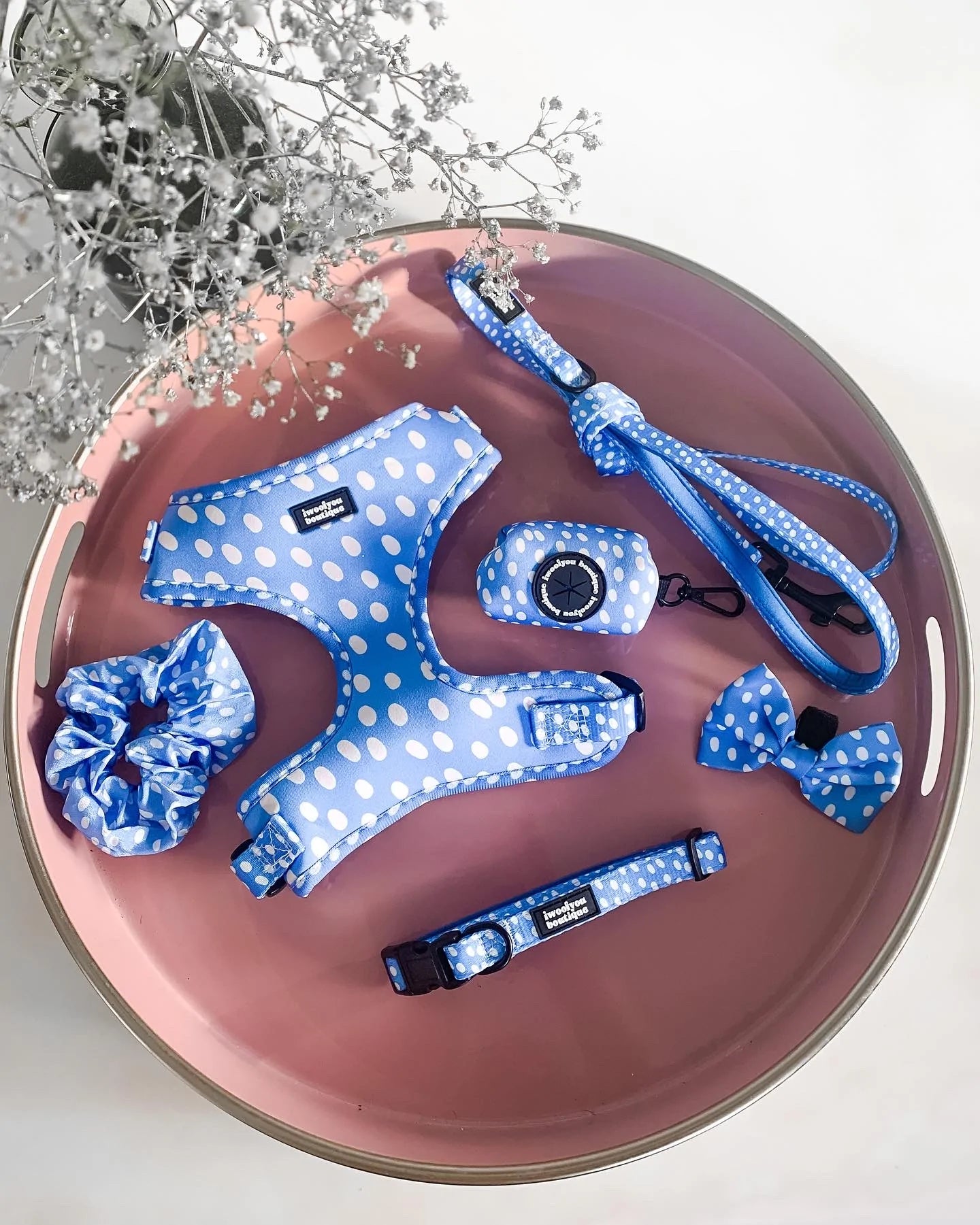 🐶 Polka Pups Set (Blau) – von iWoofYouBoutique
