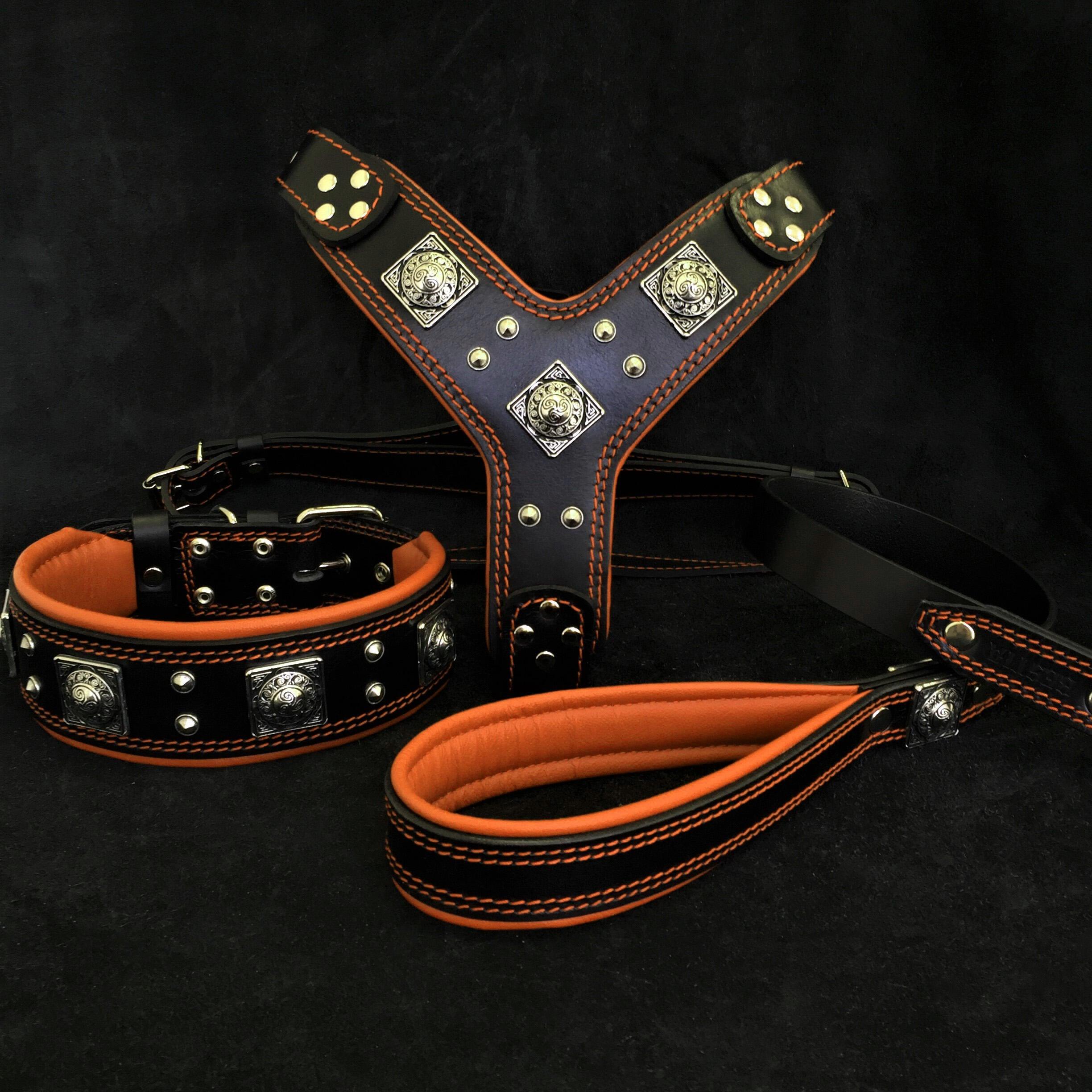 👉 „EROS Set für große Hunde – Geschirr, Halsband & Leine in Schwarz & Orange“ 🐶