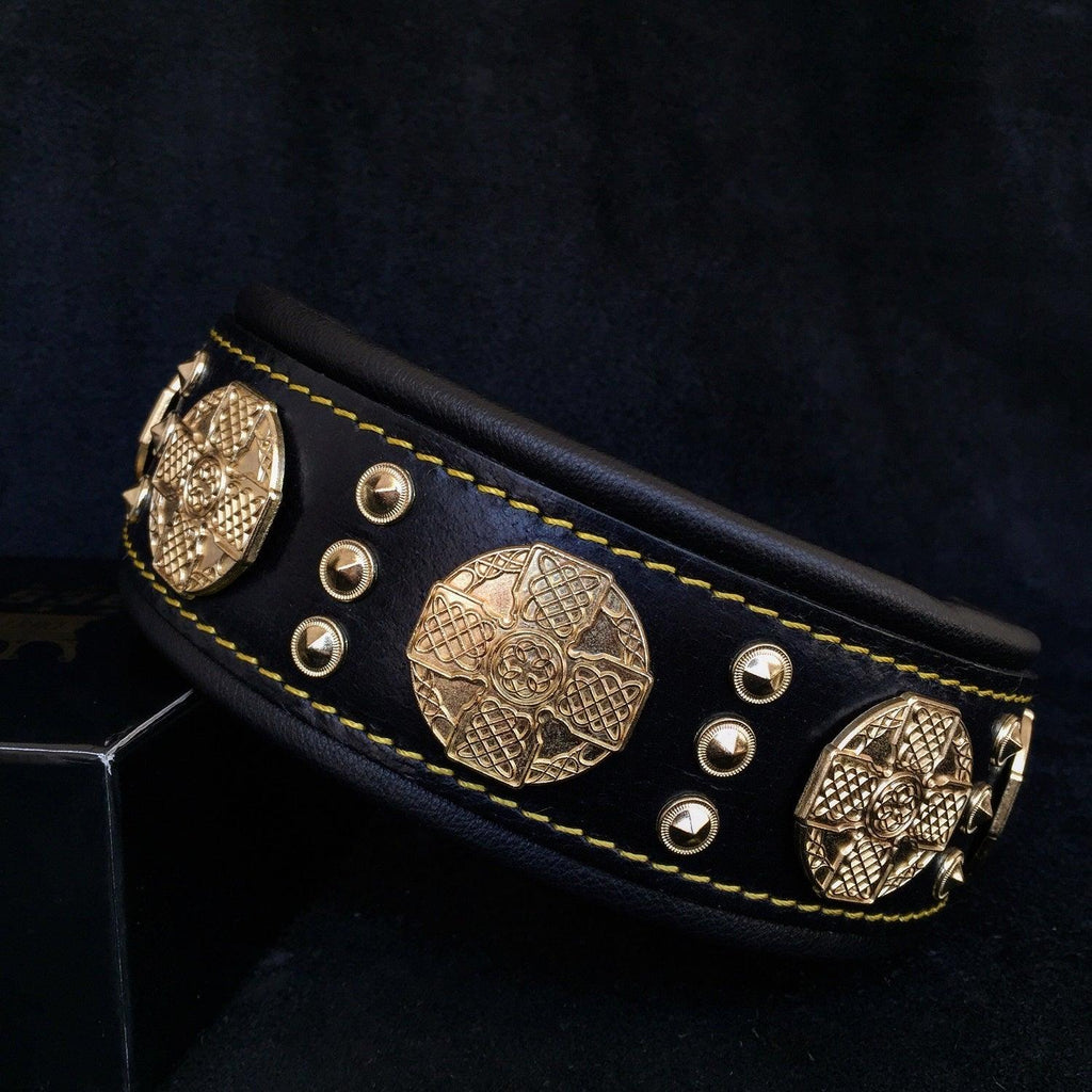 👉 "Maximus" Premium Hundehalsband – 2,5 Zoll breit in Schwarz & Gold
