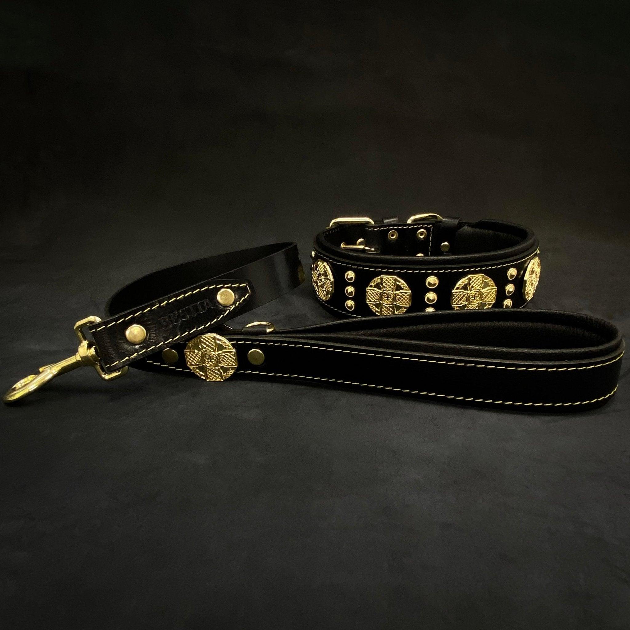 👉 "Maximus" Premium Hundehalsband – 2,5 Zoll breit in Schwarz & Gold