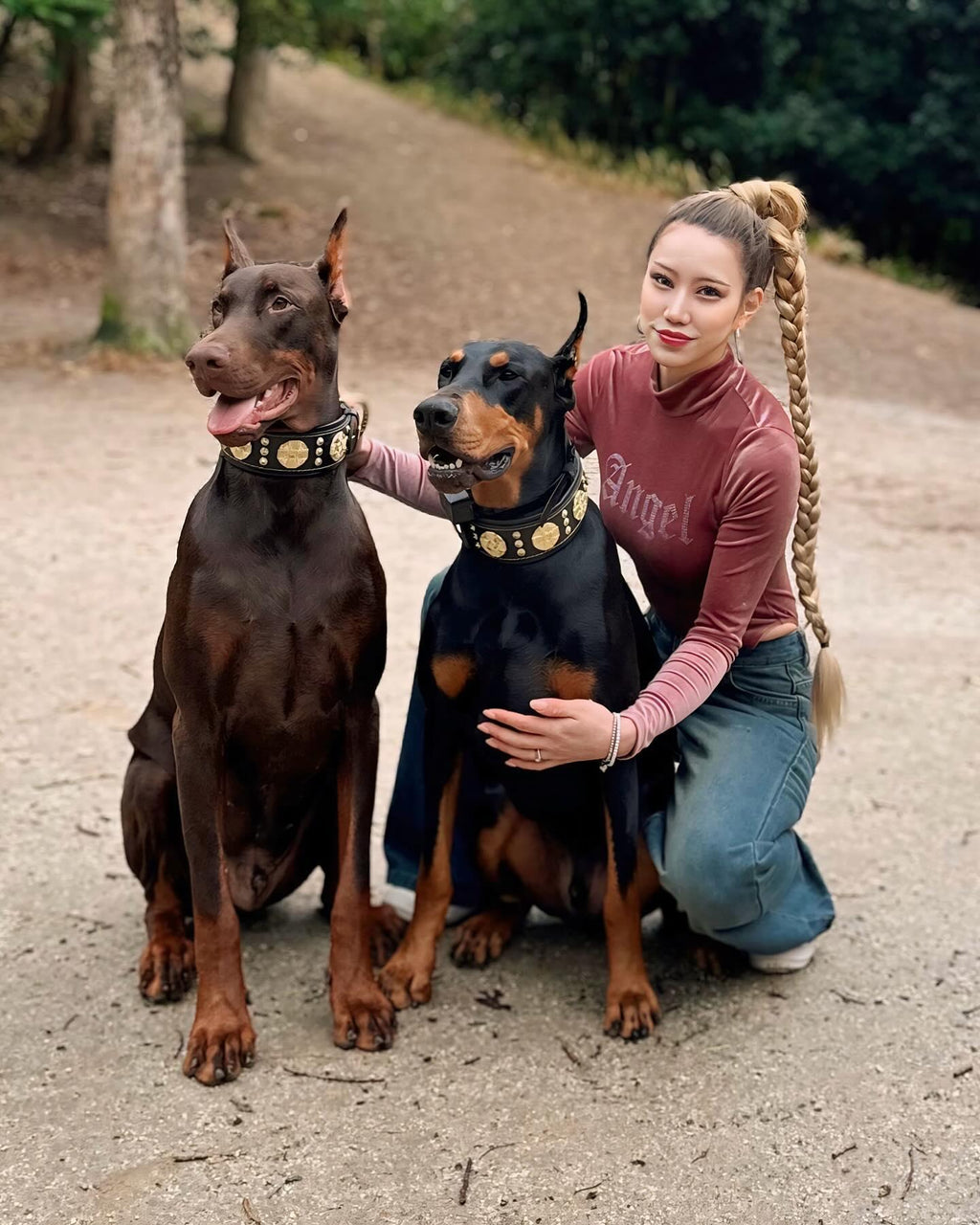 👉 "Maximus" Premium Hundehalsband – 2,5 Zoll breit in Schwarz & Gold